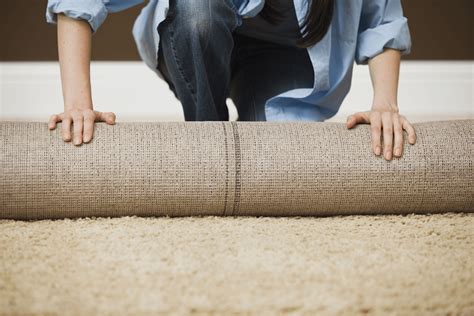 How to dispose of carpet. Things To Know About How to dispose of carpet. 